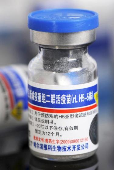 圖片7.jpg 圖片7.jpg