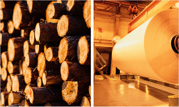 危險廢物包裝標識標簽